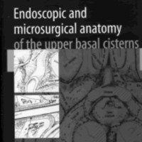 Wolfgang Seeger &quot;Endoscopical and microsurgical anatomy of the upper basal cisterns, Editorial Springer, Viena-New York. 150 páginas.