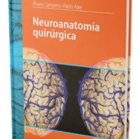 Neuroanatomía quirúrgica