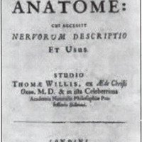 Fig. 1. Anatomía cerebral, obra del médico y anatomista Thomas Willis.