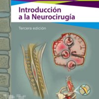 Introducción a la Neurocirugía